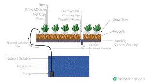 What is a Hydroponic Ebb-Flow System?