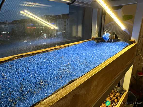 Seeds hanging in the filter mat with access to both water and air