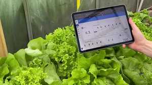 In 3 einfachen Schritten zur Garten Automatisierung mit Hydrokultur - Hydroponics