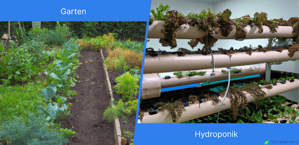 Bild, das den Platzvergleich zwischen herkömmlicher Gartenarbeit und Hydroponik zeigt