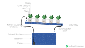 What is the Hydroponic Nutrient-Film-Technique (NFT)