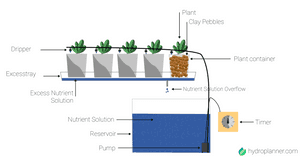 The hydroponic drip system - Structure, Components, Advantages and Disadvantages