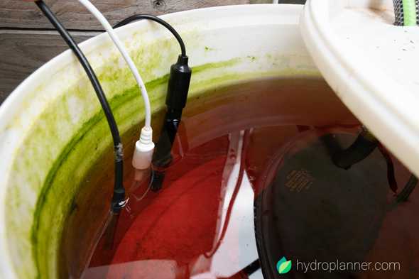 Sensors in the nutrient solution, help to track all the vital metrics of your hydroponics system